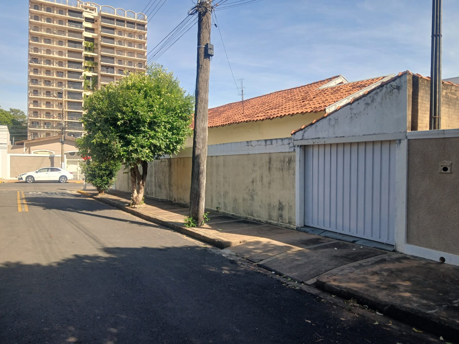 Rua Augusto Pereira de Moraes,749 - Jardim Primavera