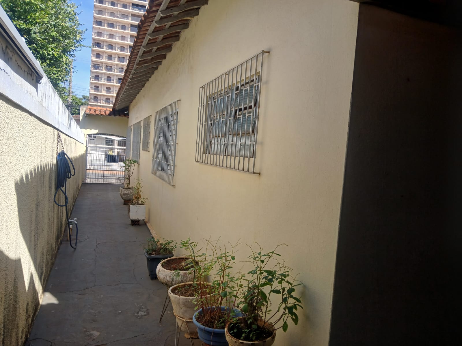 Rua Augusto Pereira de Moraes,749 - Jardim Primavera