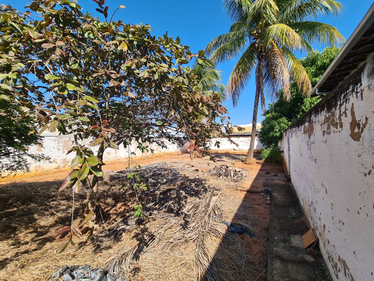 Rua Quinze de Novembro,1244 - Vila Santos