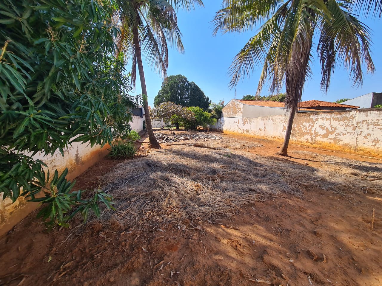 Rua Quinze de Novembro,1244 - Vila Santos