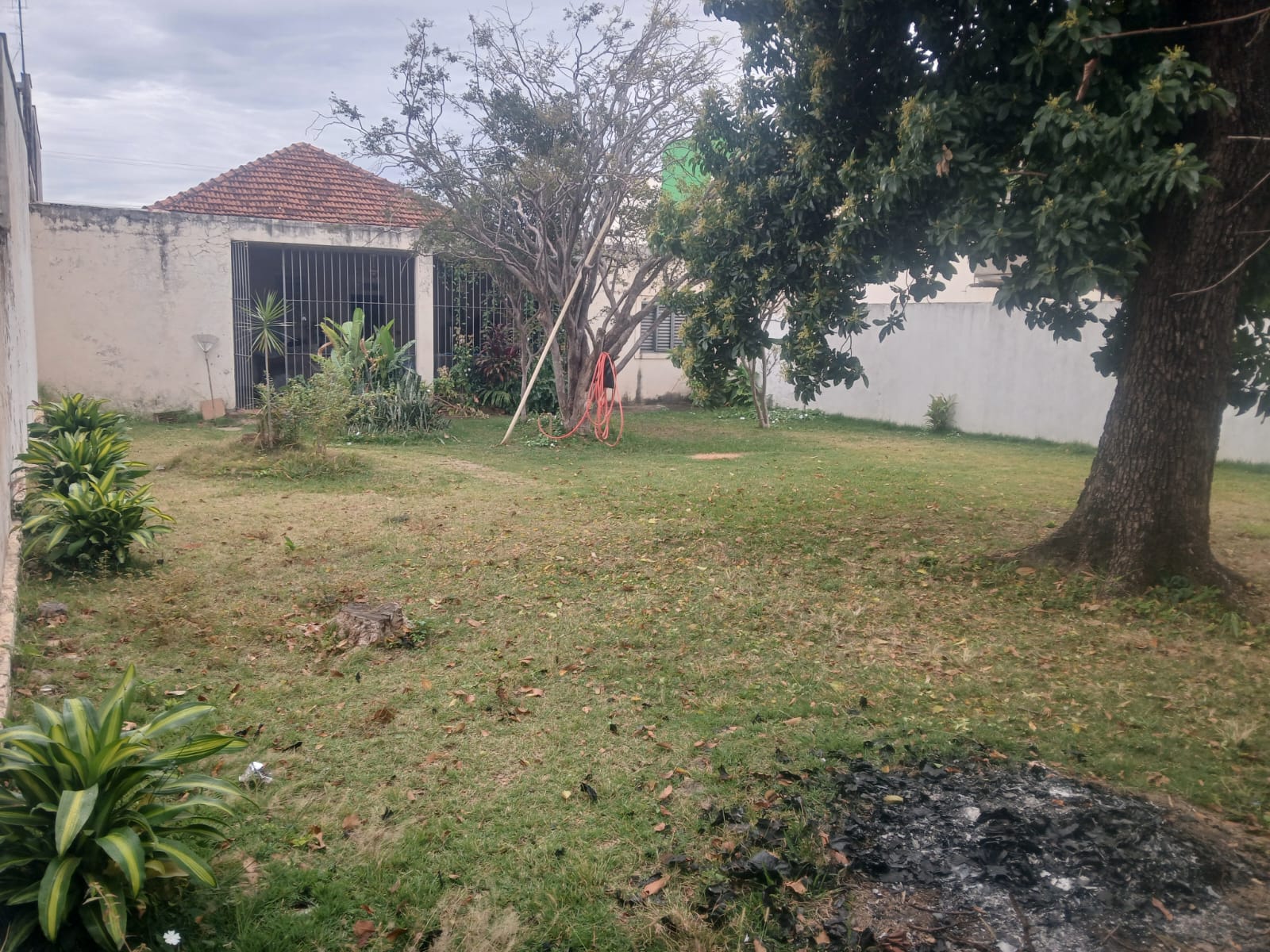 Avenida Cunha Cintra,598 - Centro