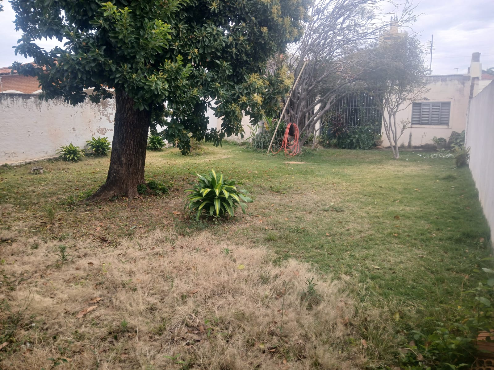 Avenida Cunha Cintra,598 - Centro