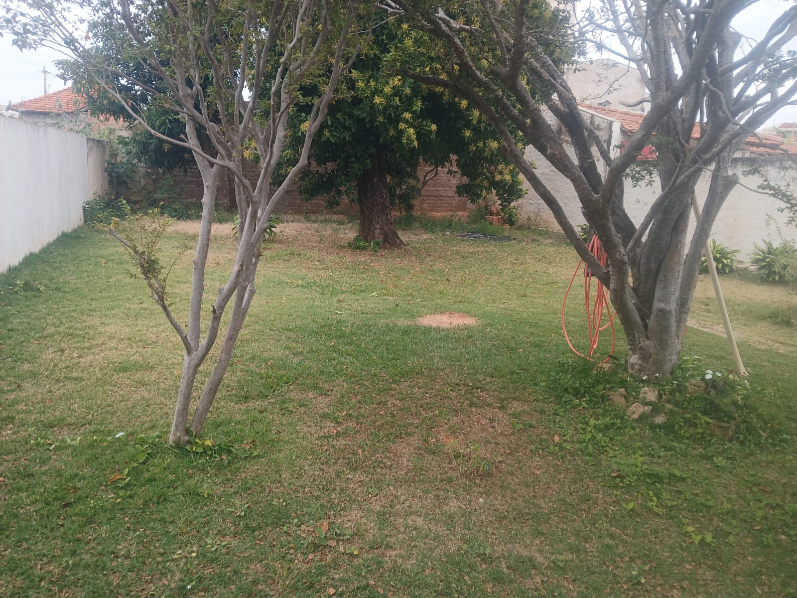 Avenida Cunha Cintra,598 - Centro