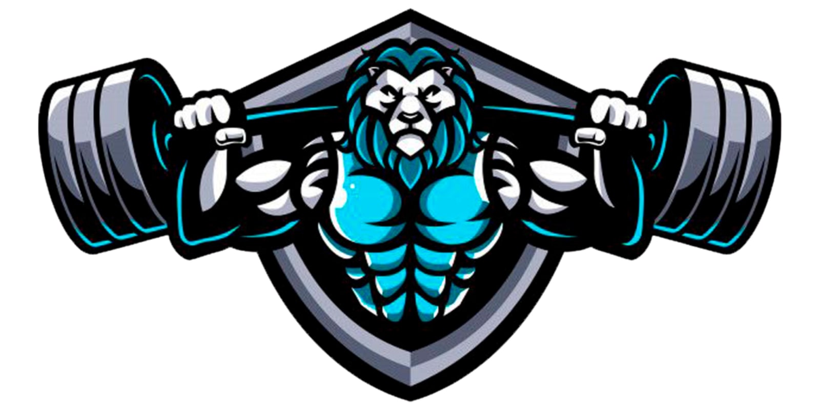 Logo de LeonGimnasio