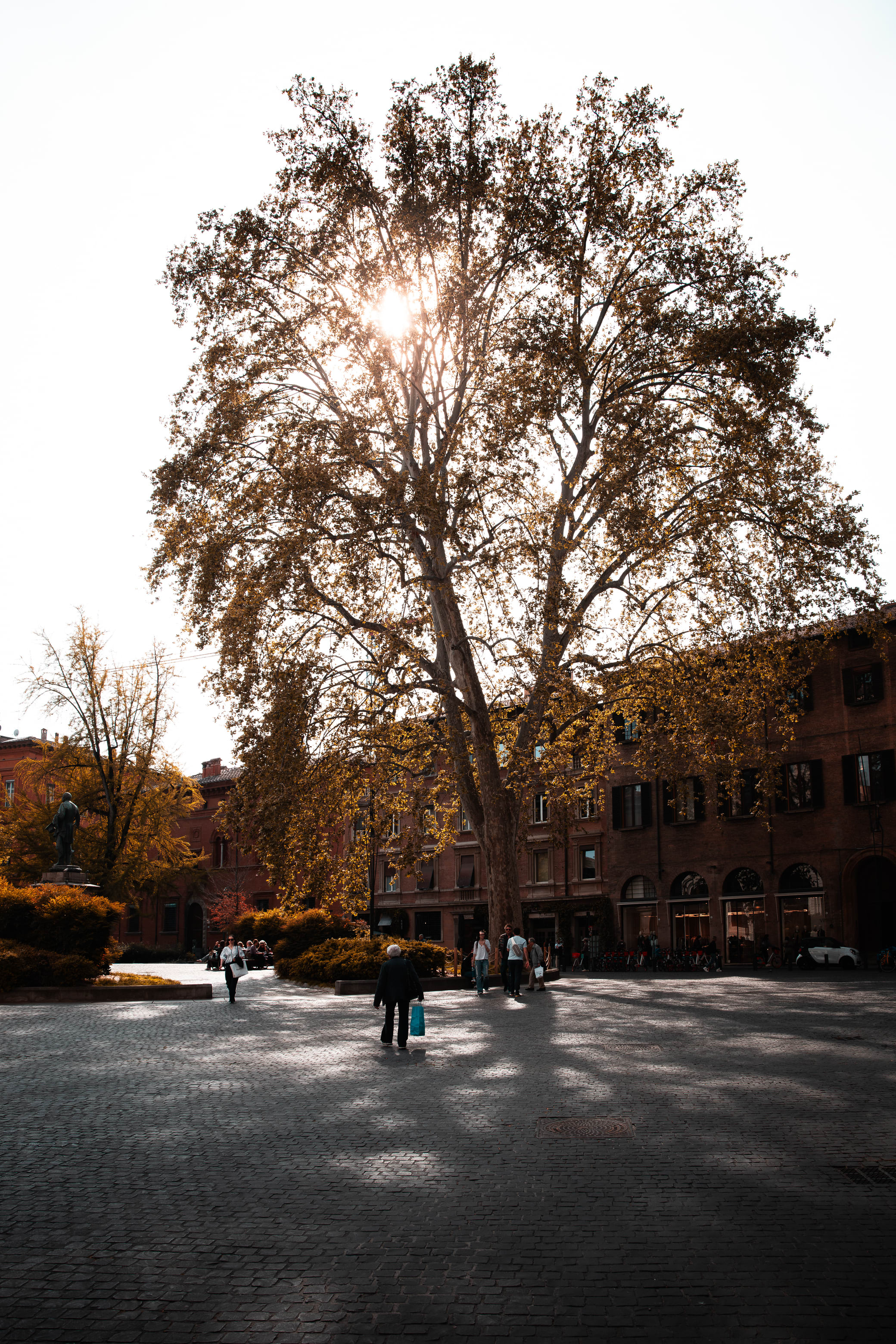 Backlit Hours | Bologna, Italy