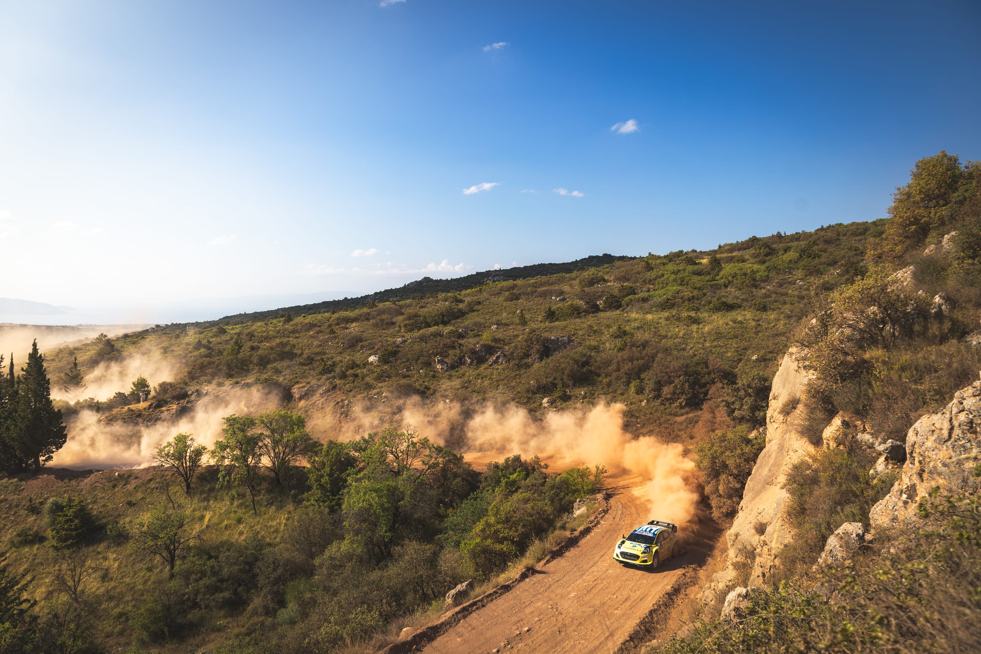 Scale | J. Serderidis - Ford Puma Rally1