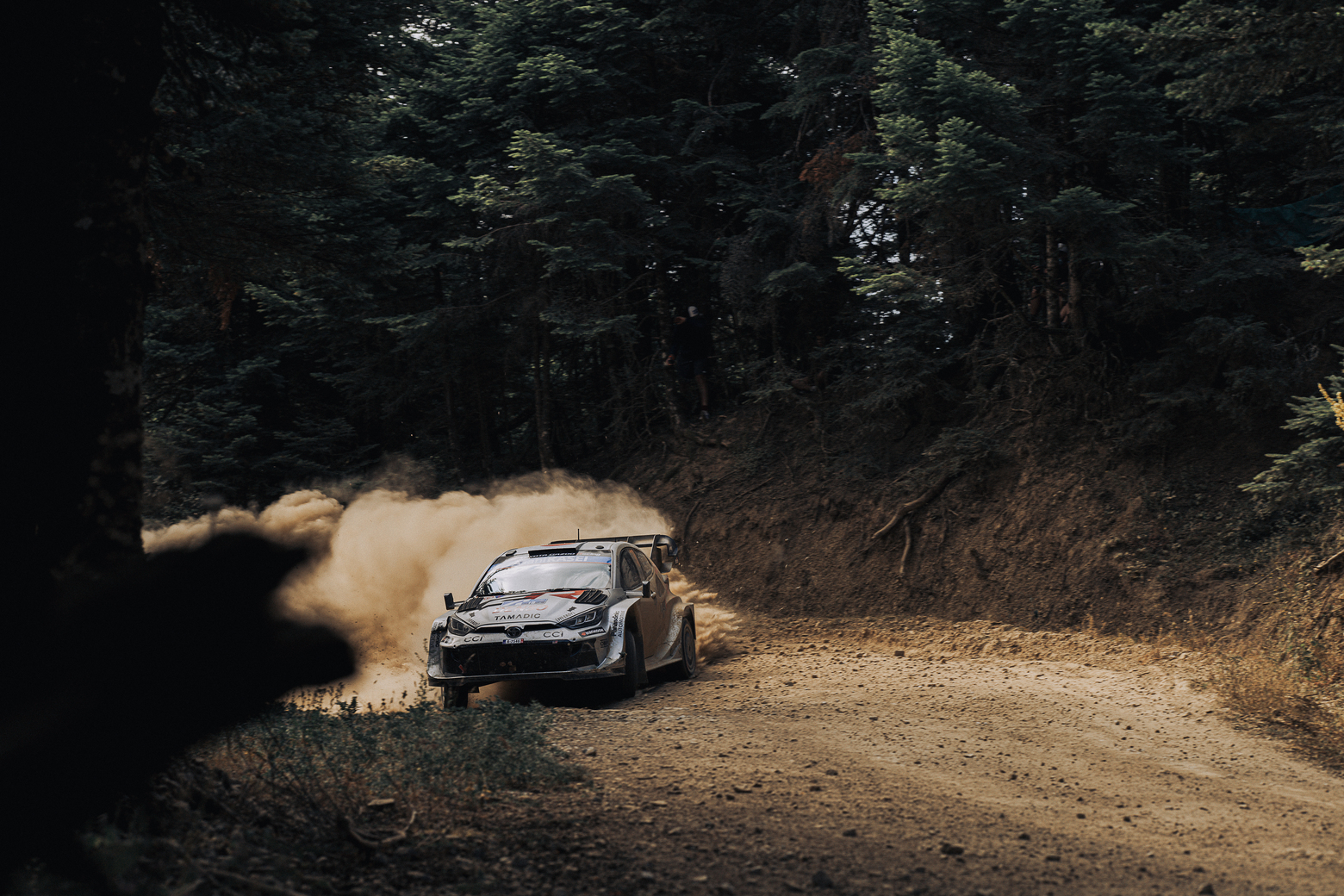 Rentina, Central Greece | EKO Rally Acropolis 2025 - SS Tarzan | Toyota Yaris GR WRC