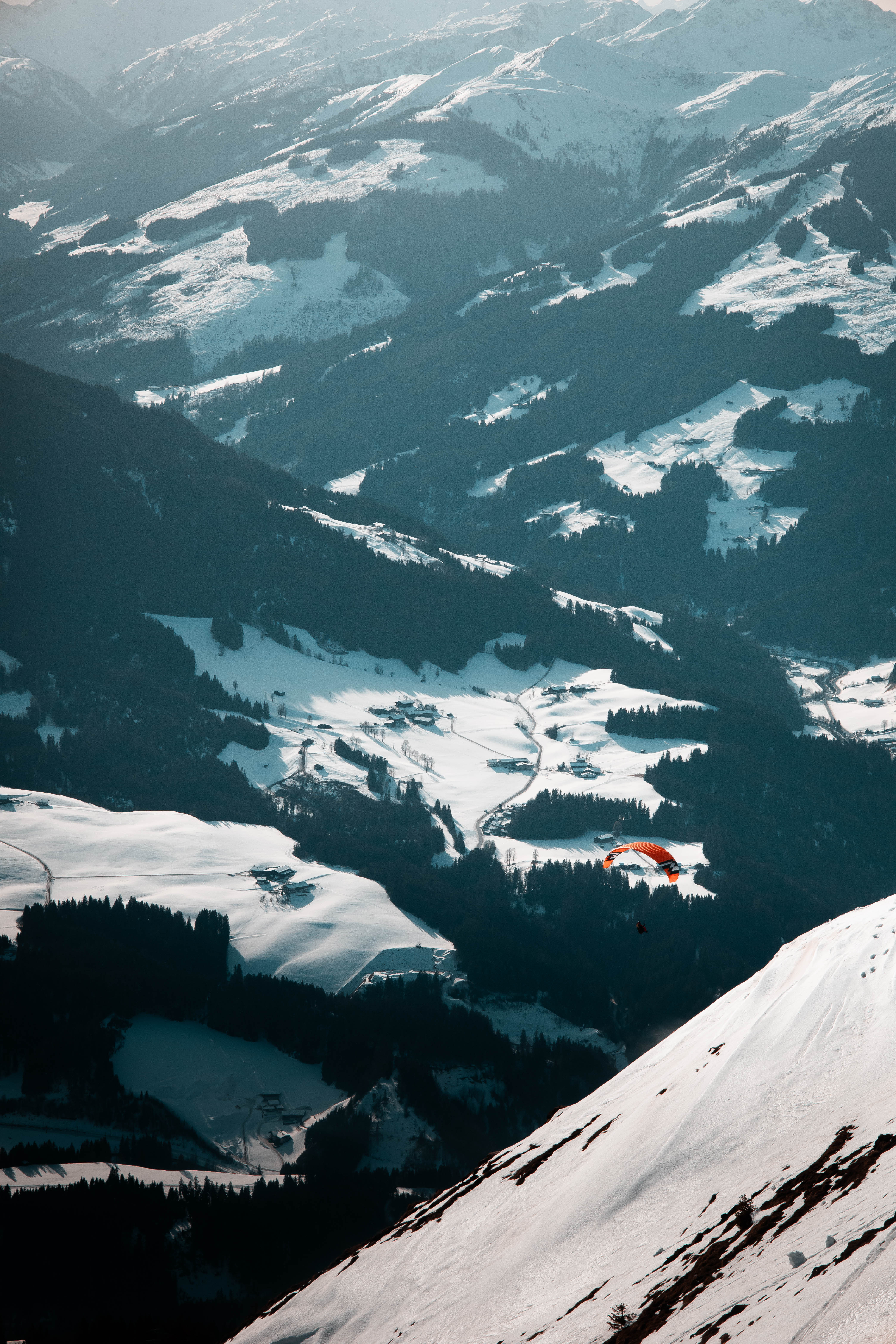 Where Silence Has a Wingspan