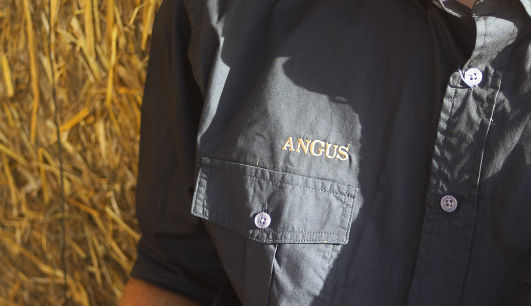 Indumentaria Angus × Cardon: camperas, pantalones, remeras y camisas