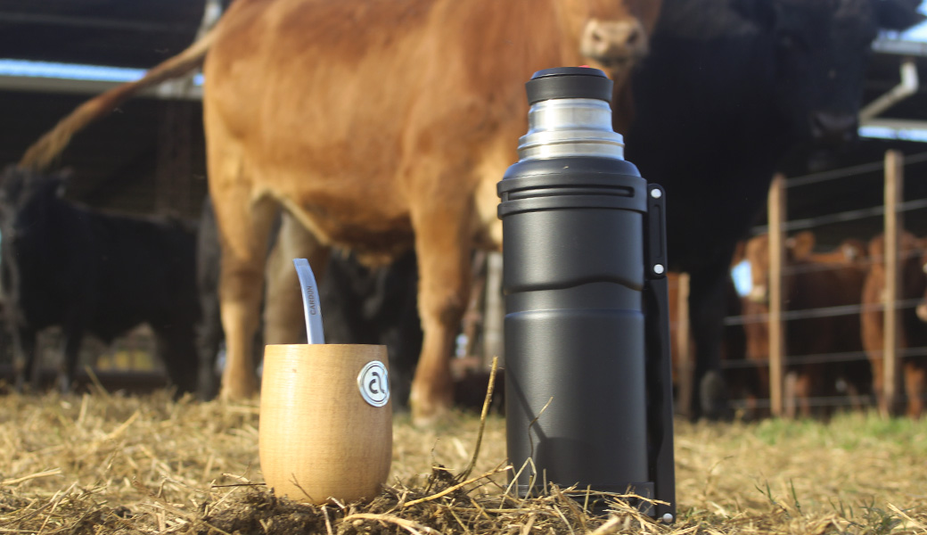 Accesorios Angus × Cardon: mates, termos, libretas, llaveros y vasos