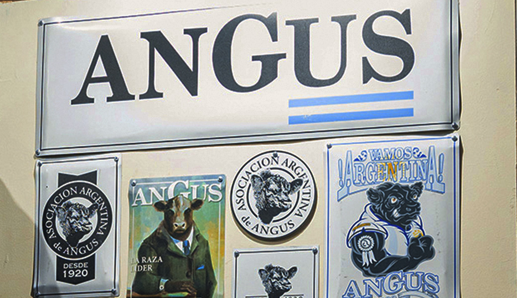 Edición única Angus × Cardon: chapas, pegatinas y objetos de colección
