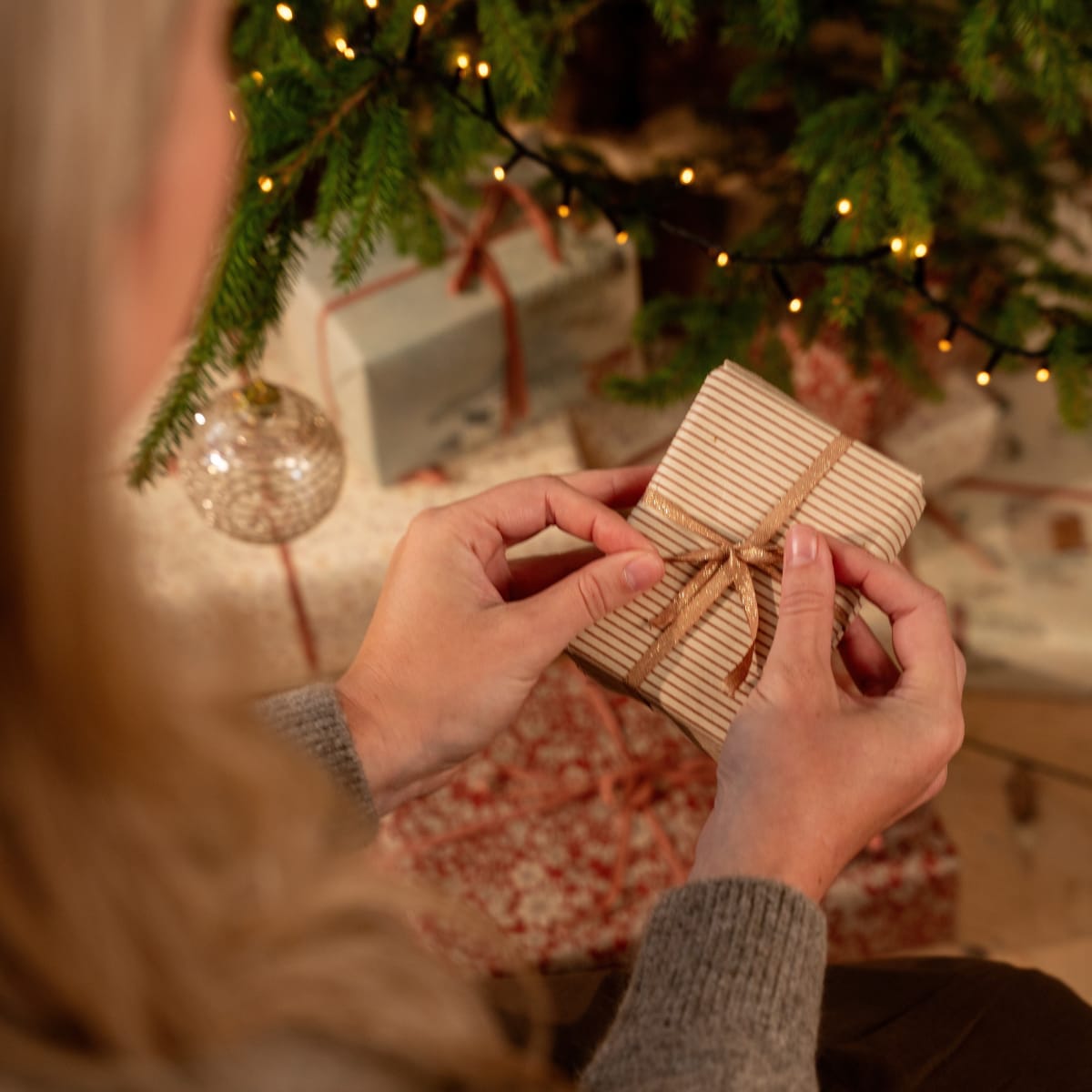 Sinterklaas & Kerstcadeaus