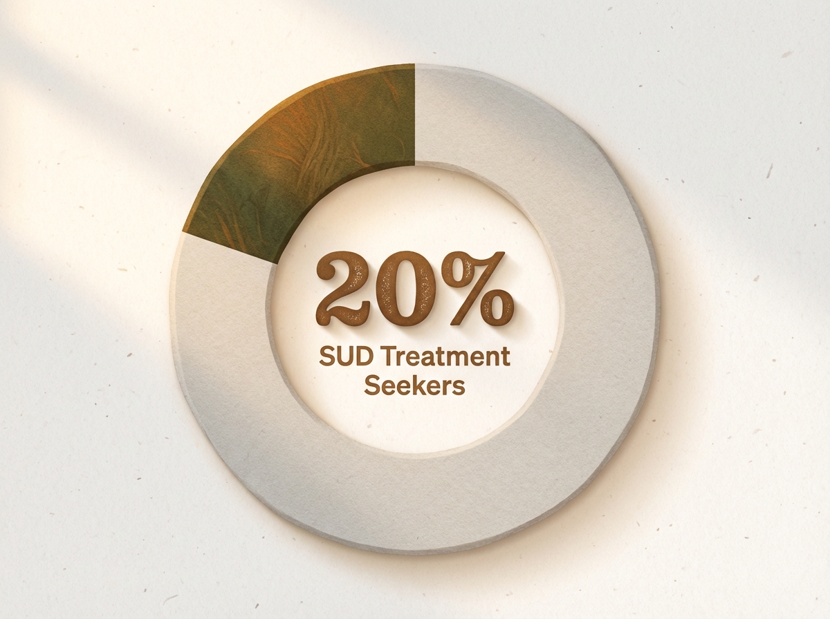 Infographic showing Individuals with SUDs Who Seek Professional Treatment: 20%