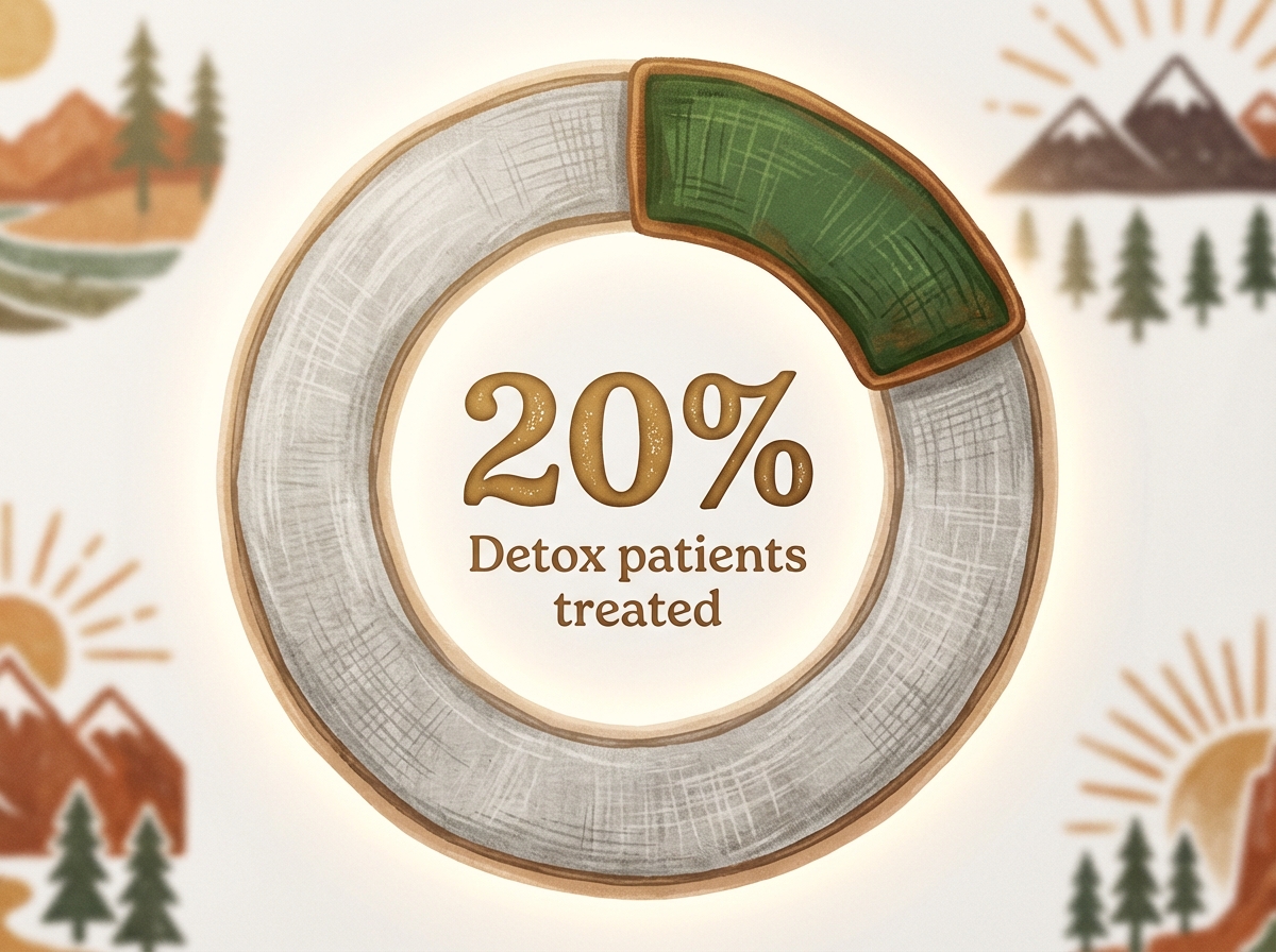 Infographic showing Hospital detox patients who receive subsequent substance abuse treatment: 20%