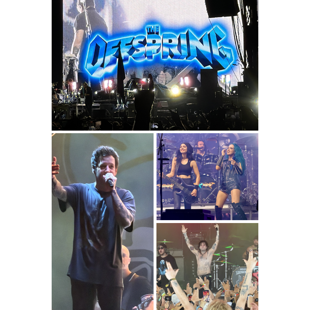 Welcome to Rockville 2026: Four Days of Chaos, Community, and Unforgettable Music