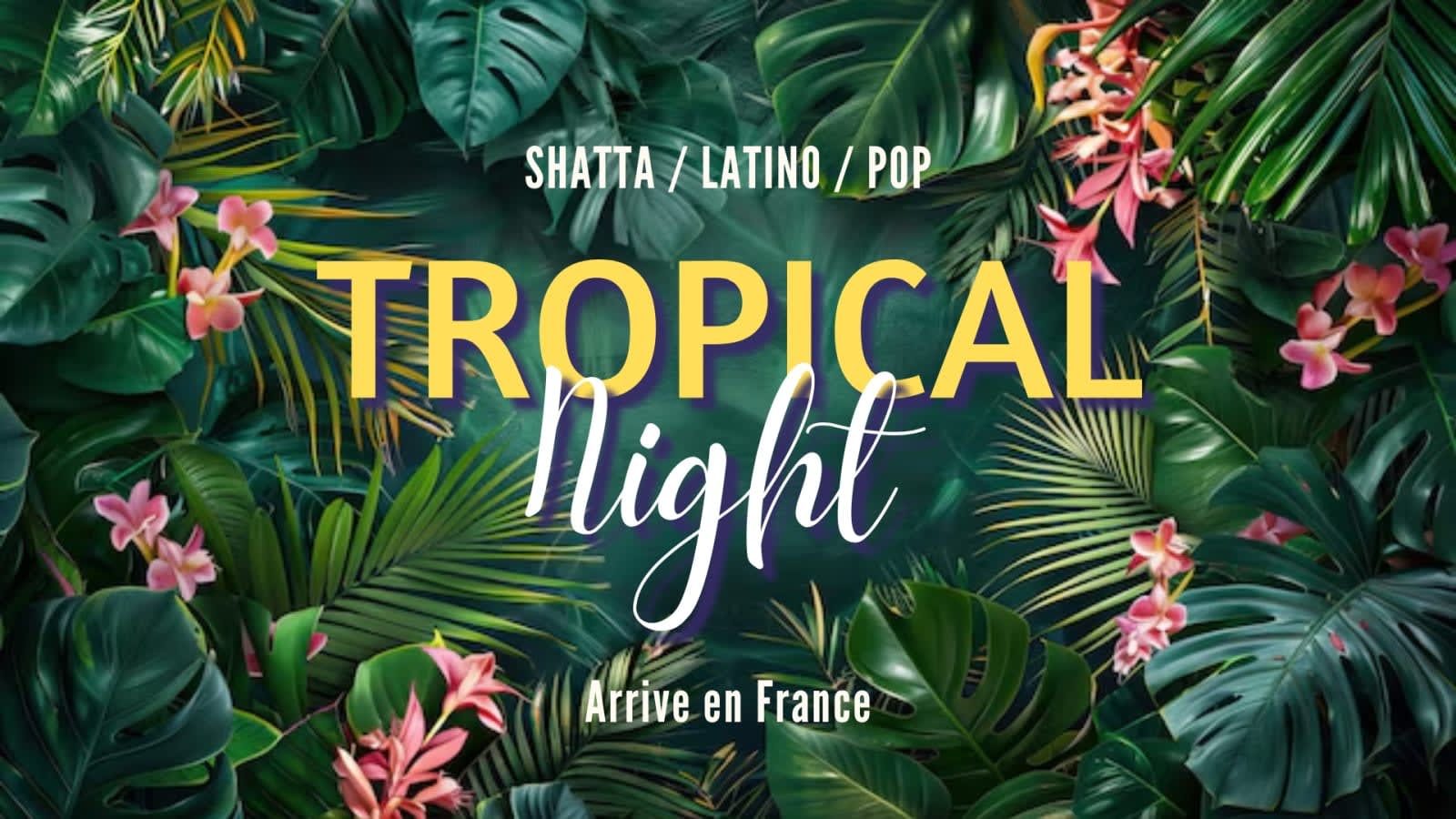 Tropical Night