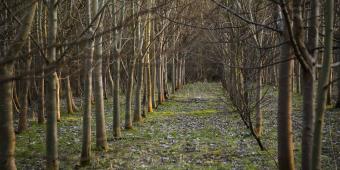 We must start acting now to protect the environment