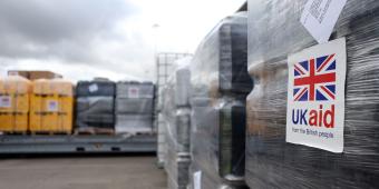 The Government must protect and nurture the best of DfID as it merges with the Foreign Office