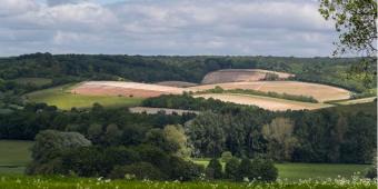 Calling for a Chilterns National Park