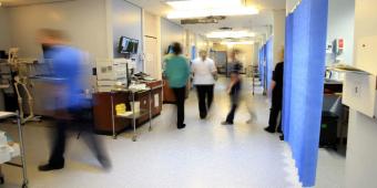 It is vital that Inflammatory Bowel Disease is not put on the back-bench