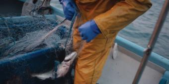 Let’s stop using the fishing industry as a political football and work together to untangle Brexit red tape