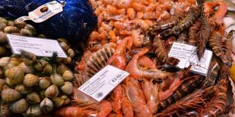 Centuries Old Shellfish Traders Are Facing Collapse After EU Exports Are Banned Altogether