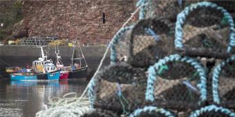 Labour Accuses DEFRA Of 'Severe Negligence' Over Post-Brexit Shellfish Export Ban
