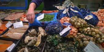 Exclusive: EU Says A Post-Brexit Shellfish Export Ban Is Indefinite, After Government Claimed It Was Only Temporary