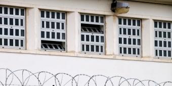 Locked up in lockdown: the devastating effect of Covid on the prison population