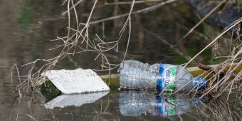 Government must fix huge flaws in the Environment Bill