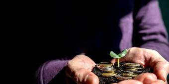 Financial institutions must set out how their investments align with the UK’s environmental goals