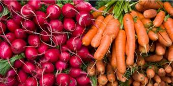 Government's Food Advisor Says Plan To Break 'Junk Food Cycle' Won't Push Up Food Prices