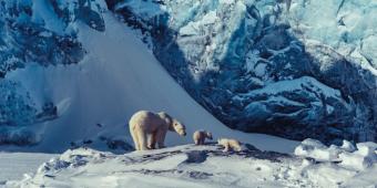 A compelling case for change: Baroness Worthington reviews 'Earthshot'