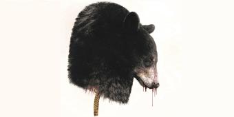 The MoD must embrace the free, animal-friendly alternative to bearskins