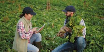 We need to take action on regulation and R&D to realise the potential of our homegrown crops