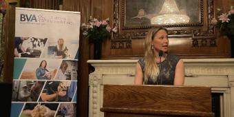 Vets call on government to support sustainability, a healthy workforce and better animal welfare legislation