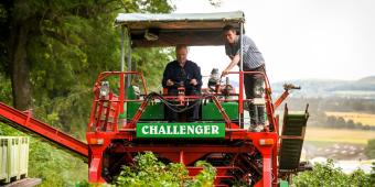 Blackcurrant Affairs: Why rural MPs have been visiting growers of one of the nation’s favourite drinks