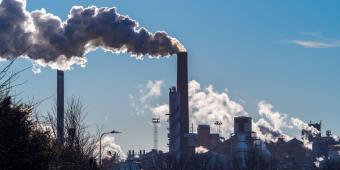 Protecting and restoring nature is key to reach our net zero targets