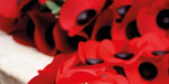 Remembrance exhibition in Portcullis House