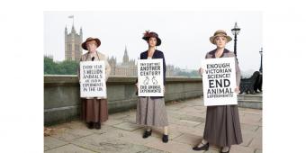 Stars Evanna Lynch, Lucy Watson and Lesley Nichol join forces with animal protection organisations to recreate iconic protest photo