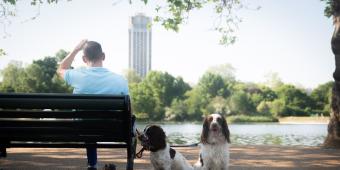 Poor Workplace Wellbeing Is Driving Over-50s Out Of Employment Market