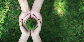 The Path to Net Zero: A special report to mark Net Zero Week 2023