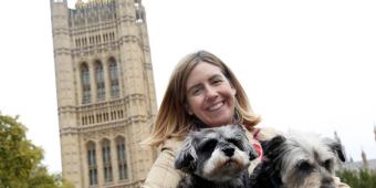 Tory MP Says Animal Welfare Needs “People Power” To Put It Back On Government Agenda