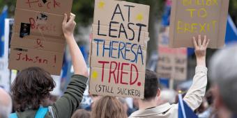 Pacy and provocative: John Nicolson reviews 'Why Politics Fails'