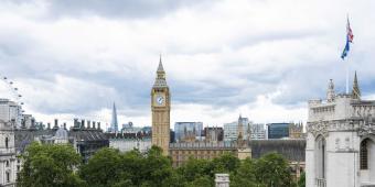 Lords Diary: Lord Lansley