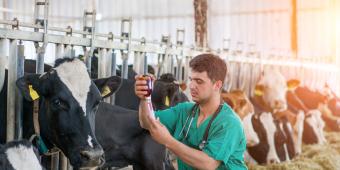 Culture shift: tackling antimicrobial resistance from agriculture to operating table
