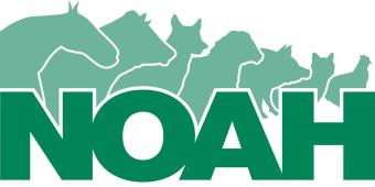 NOAH achieves Silver accreditation in Investors in the Environment (iiE) Programme