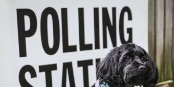 Voters Are Warning Wannabe MPs That They're In No Mood For Westminster