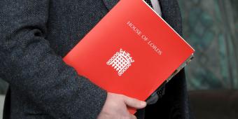 We need to start differentiating between honorary and working peerages