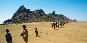 40 years on from Ethiopia's catastrophic famine, progress has slid into reverse